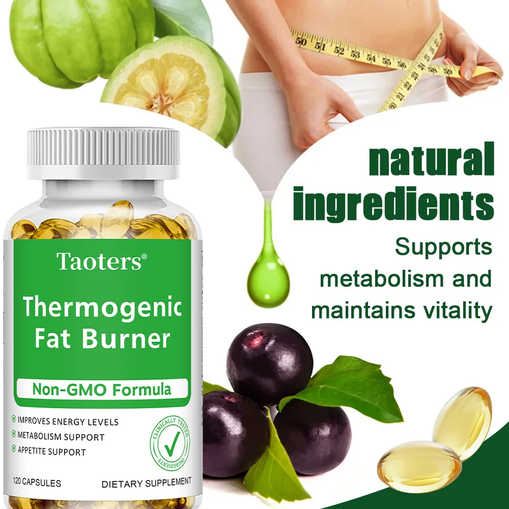 Green Tea Extract Fat - Ekstrakt z zielonej herbaty - z