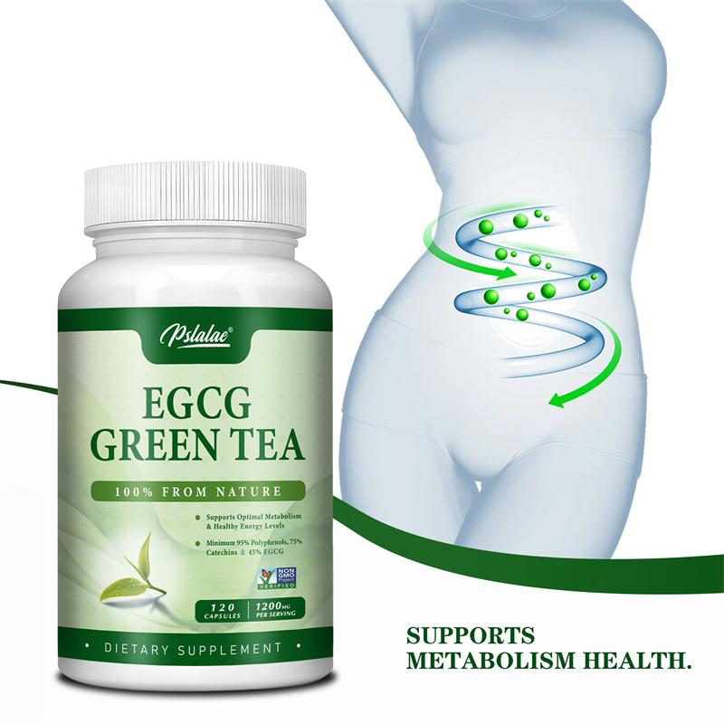 Green Tea Extract Fat - Ekstrakt z zielonej herbaty EGCG -