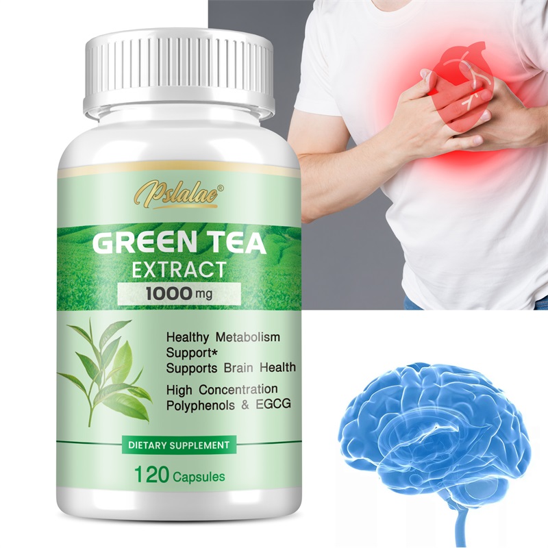 Green Tea Extract Fat - Ekstrakt z zielonej herbaty - z