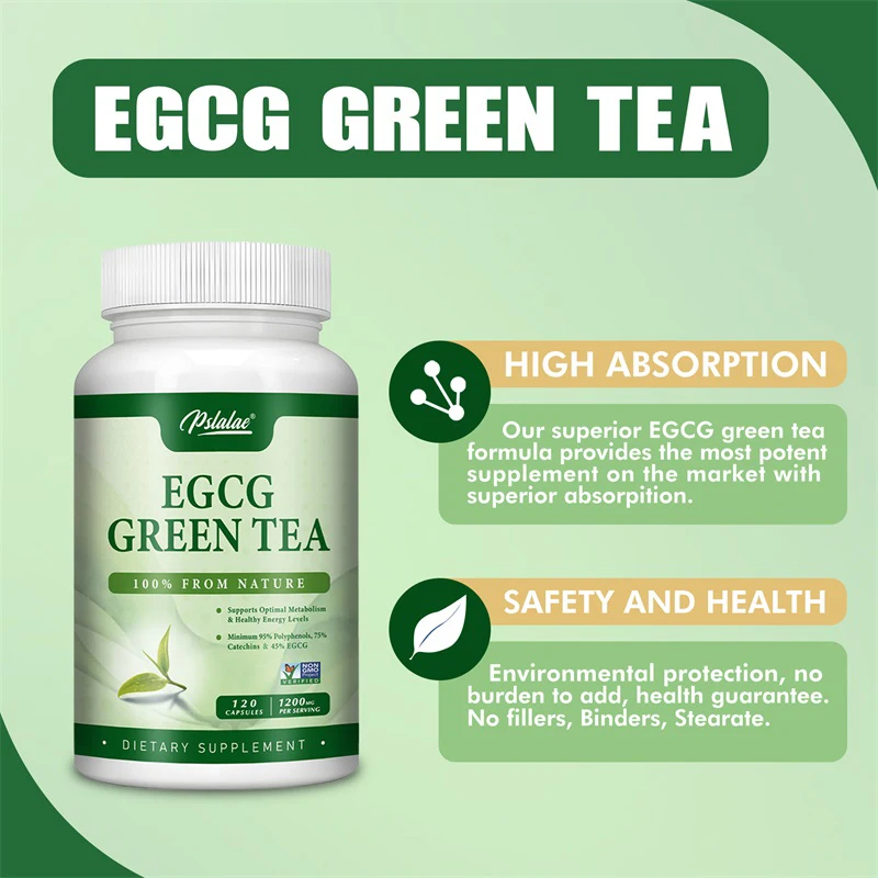 Green Tea Extract Fat - Ekstrakt z zielonej herbaty EGCG -