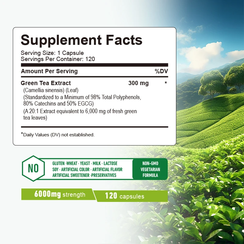 Kapsułki z zieloną herbatą - W – Green Tea Extract Fat recenzja i cena