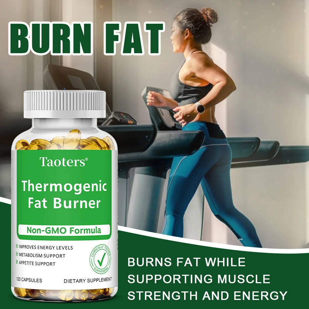 Ekstrakt z zielonej herbaty -  – Green Tea Extract Fat recenzja i cena