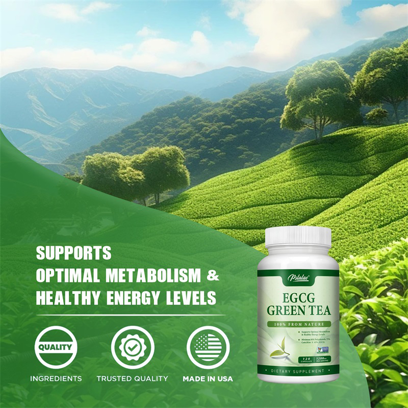 Ekstrakt z zielonej herbaty EG – Green Tea Extract Fat recenzja i cena
