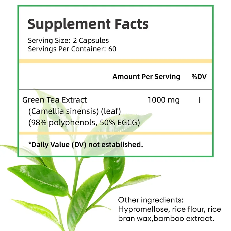 Ekstrakt z zielonej herbaty -  – Green Tea Extract Fat recenzja i cena
