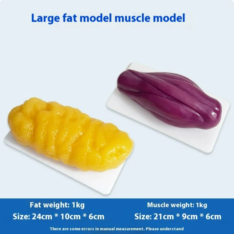 Repliki ludzkich mięśni i tkan – Nutrition Fitness recenzja i cena
