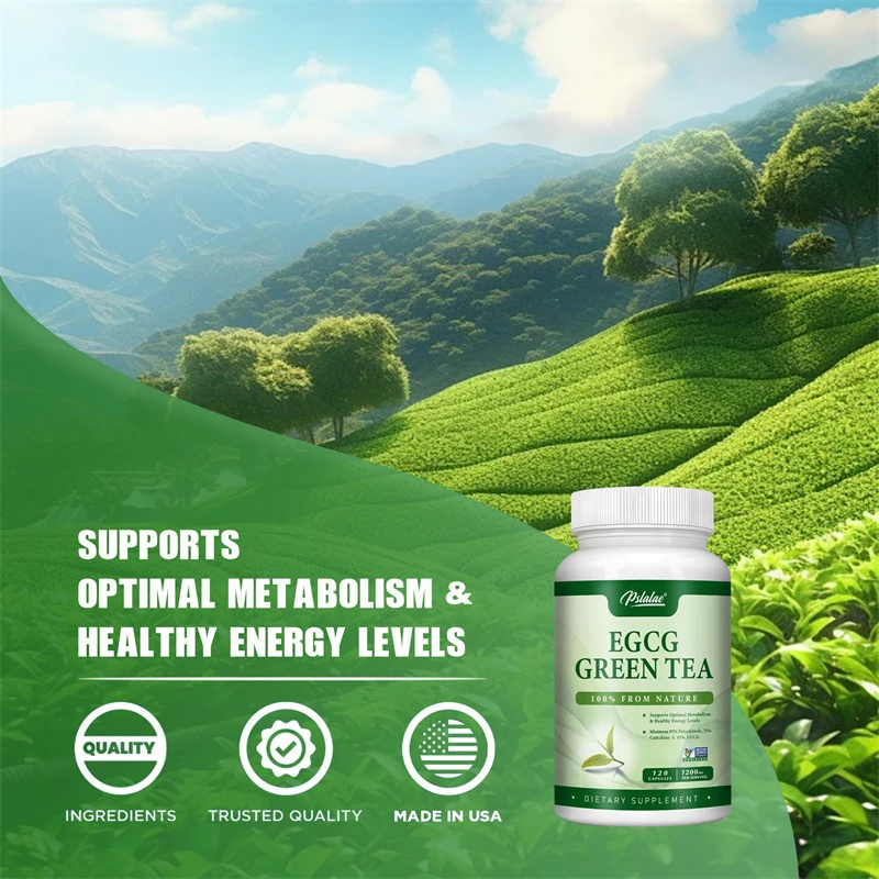 Ekstrakt z zielonej herbaty EG – Green Tea Extract Fat recenzja i cena